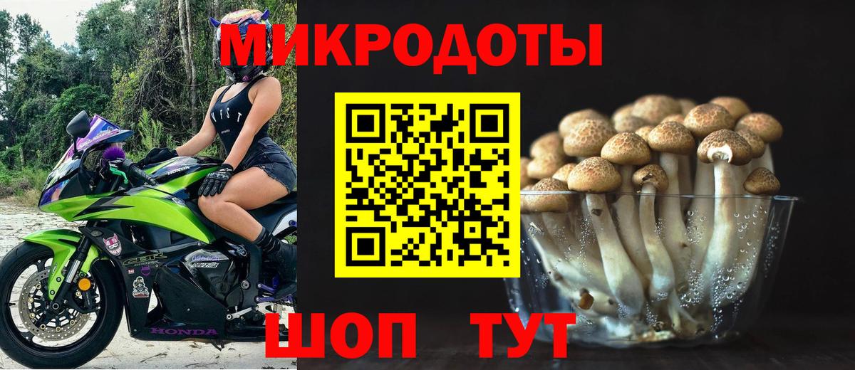 Псилоцибиновые грибы GOLDEN TEACHER Волхов