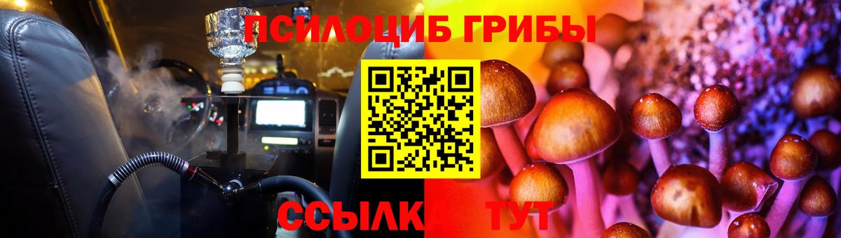 Галлюциногенные грибы Magic Shrooms  Вход с VPN  где продают наркотики  Волхов  Псилоцибиновые грибы Psilocybine cubensis 